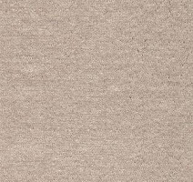 Ковролин AW Energy 30 фото 1 | FLOORDEALER