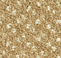 Ковролин Balsan Capitol Capitol 620 фото 1 | FLOORDEALER