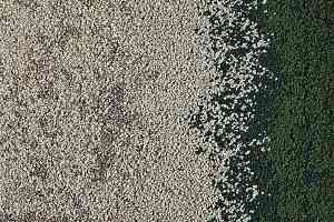 Ковровая плитка Interface Urban Retreat One 101/102/103 ur 101 327117 Ash / Ivy фото  | FLOORDEALER