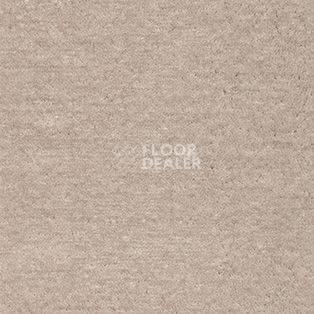 Ковролин AW Energy 30 фото 1 | FLOORDEALER