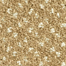 Ковролин Balsan Capitol Capitol 620 фото 1 | FLOORDEALER