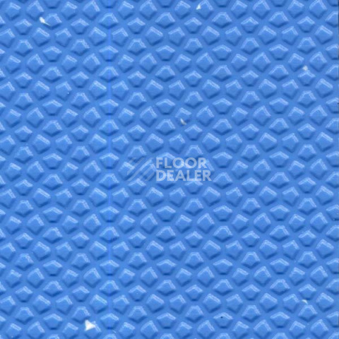 Линолеум Apoluza Sportfloor PVC для бассейнов 2.5 мм 206-001 фото 1 | FLOORDEALER