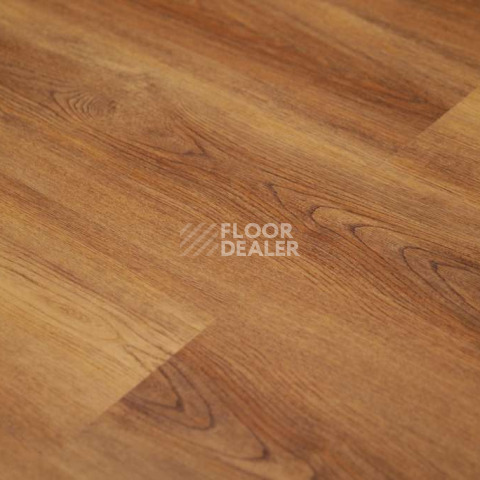Evofloor Optima Click 4.2мм Дуб Янтарный фото 6 | FLOORDEALER