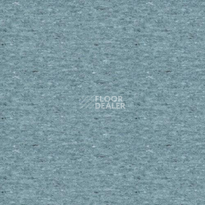 Линолеум Lg Durable DU99039 фото 1 | FLOORDEALER