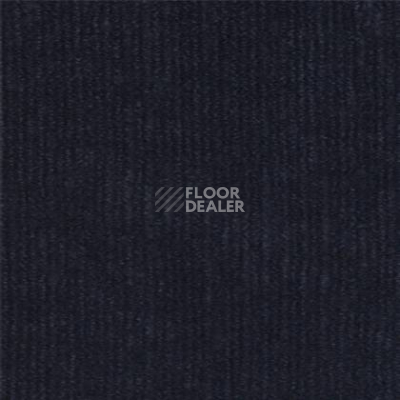 Ковролин Tapibel Ascot 3595 фото 1 | FLOORDEALER