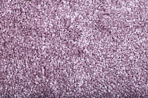 Ковролин Tarkett Diva 77081 фото 1 | FLOORDEALER