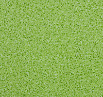 Линолеум Lg Trendy TD12409 фото 1 | FLOORDEALER