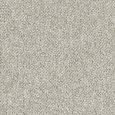 Desso Natural Nuances 9210 фото 1 | FLOORDEALER