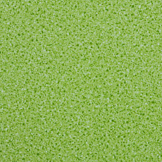 Линолеум Lg Trendy TD12409 фото 1 | FLOORDEALER