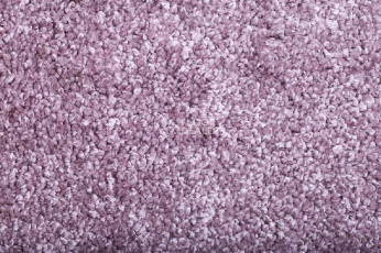 Ковролин Tarkett Diva 77081 фото 1 | FLOORDEALER