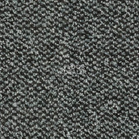 Грязезащитные покрытия Forbo Coral Marine FR 4201 Singapore Grey фото 1 | FLOORDEALER