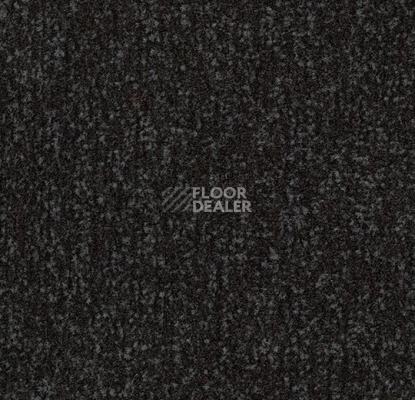 Грязезащитные покрытия Forbo Coral в плитке свободной укладки 4730 Raven Black фото 1 | FLOORDEALER