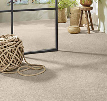 Vorwerk Superior 1065/Viola Vorwerk 8k03 фото 2 | FLOORDEALER