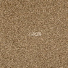 Ковролин Betap Transmit 69 фото 1 | FLOORDEALER