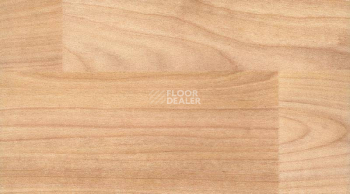Линолеум Taraflex Performance Wood 6350_Light_Cherry_Design фото 1 | FLOORDEALER