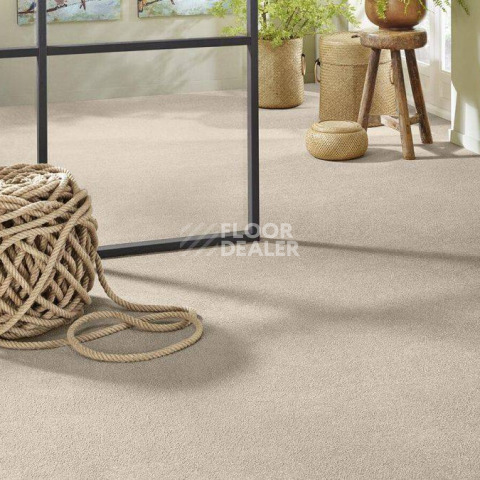 Vorwerk Superior 1065/Viola Vorwerk 8k03 фото 2 | FLOORDEALER