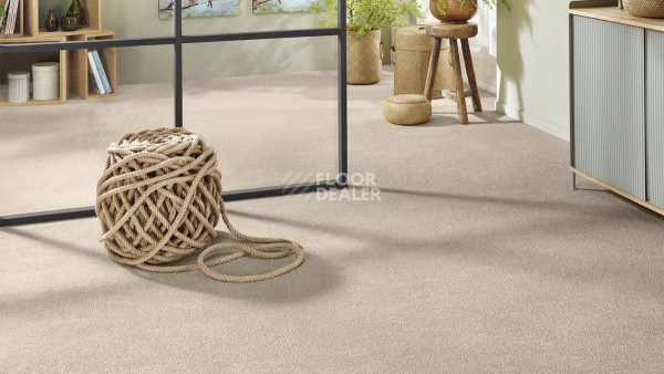 Vorwerk Superior 1065/Viola Vorwerk 8k03 фото 2 | FLOORDEALER