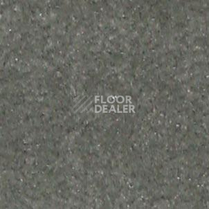 Ковролин Shaw all That Jazz 21328 фото 1 | FLOORDEALER