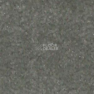 Ковролин Shaw all That Jazz 21328 фото 1 | FLOORDEALER