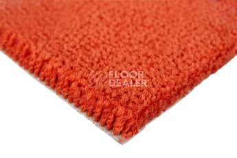 Balsan Les Best S 470 фото 3 | FLOORDEALER