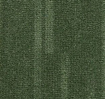 Ковролин AW Villa d`este 24 фото 1 | FLOORDEALER