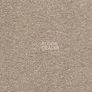 Ковролин AW Vivendi Vibes 34 фото 1 | FLOORDEALER