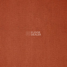 Ковролин Balta ITC Prominent 64 фото 1 | FLOORDEALER