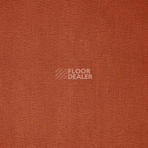 Ковролин Balta ITC Prominent 64 фото 1 | FLOORDEALER