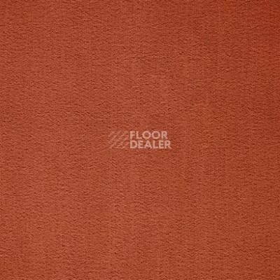 Ковролин Balta ITC Prominent 64 фото 1 | FLOORDEALER