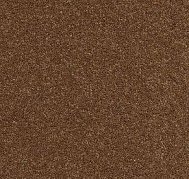 Ковролин AW Vivendi Vibes 80 фото 1 | FLOORDEALER