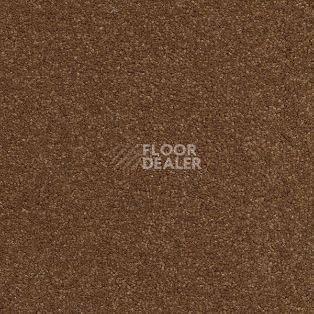 Ковролин AW Vivendi Vibes 80 фото 1 | FLOORDEALER