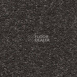 Ковролин AW Raffles 95 фото 1 | FLOORDEALER