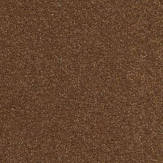 Ковролин AW Vivendi Vibes 80 фото 1 | FLOORDEALER