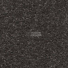 Ковролин AW Raffles 95 фото 1 | FLOORDEALER