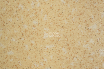 Tarkett Acczent Pro Aspect 5 фото 1 | FLOORDEALER