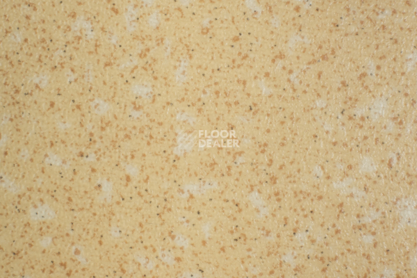 Линолеум Tarkett Acczent Pro Aspect 5 фото 1 | FLOORDEALER