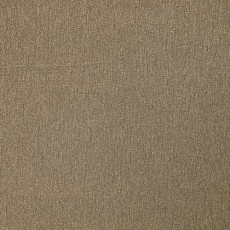 Ковролин Роял Тафт Office 02-001-6000000 фото 1 | FLOORDEALER