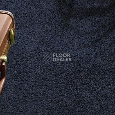 Vorwerk Exclusive1009/Elara 3l75 фото 6 | FLOORDEALER