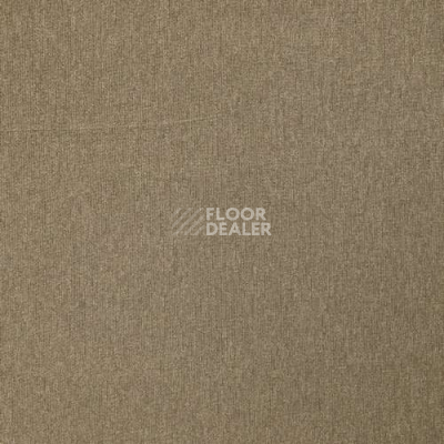 Ковролин Роял Тафт Office 02-001-6000000 фото 1 | FLOORDEALER