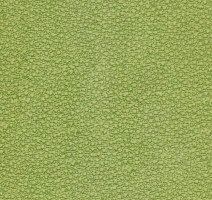 Линолеум Grabo Acoustic Pro 4276_462_4 фото 1 | FLOORDEALER