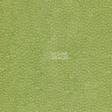 Линолеум Grabo Acoustic Pro 4276_462_4 фото 1 | FLOORDEALER