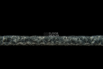 Season - Summer / Winter 975 фото 3 | FLOORDEALER