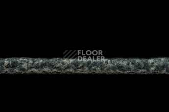 Balsan Season - Summer / Winter 975 фото 3 | FLOORDEALER