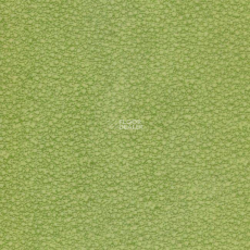 Grabo Acoustic Pro 4276_462_4 фото 1 | FLOORDEALER