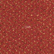 Balsan Signature 567 фото 1 | FLOORDEALER