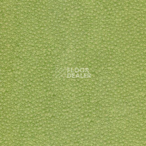 Линолеум Grabo Acoustic Pro 4276_462_4 фото 1 | FLOORDEALER