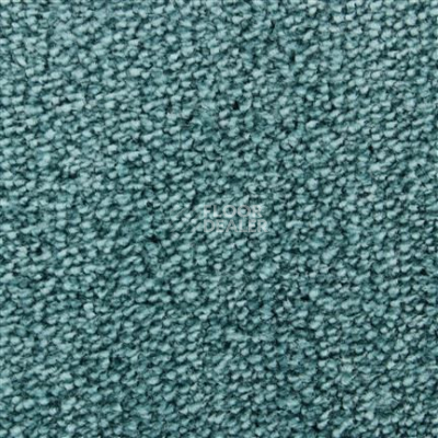 Ковролин Edel Affection 151 фото 1 | FLOORDEALER