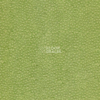 Линолеум Grabo Acoustic Pro 4276_462_4 фото 1 | FLOORDEALER