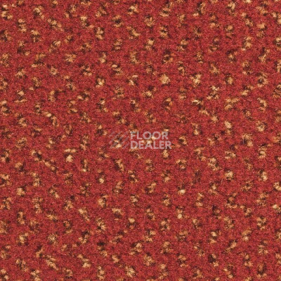 Ковролин Balsan Signature 567 фото 1 | FLOORDEALER