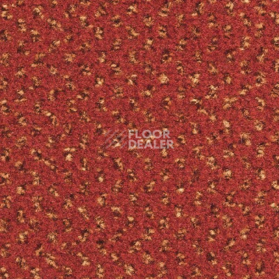 Ковролин Balsan Signature 567 фото 1 | FLOORDEALER
